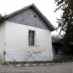 Casele monahale ale Bolniței Casele monahale ale Bolniței